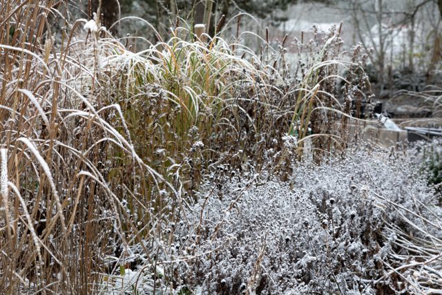 4 Seasons by Carna • 4 Seasons by Carna