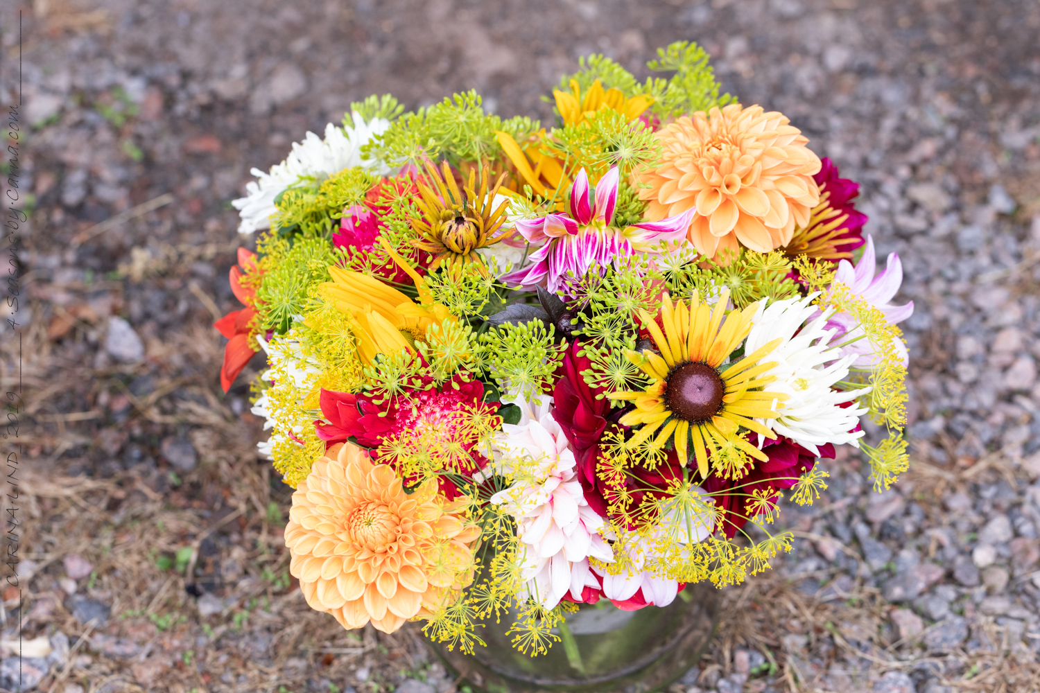 sensommar-sk-nt-och-sensommargr-nt-4-seasons-by-carna