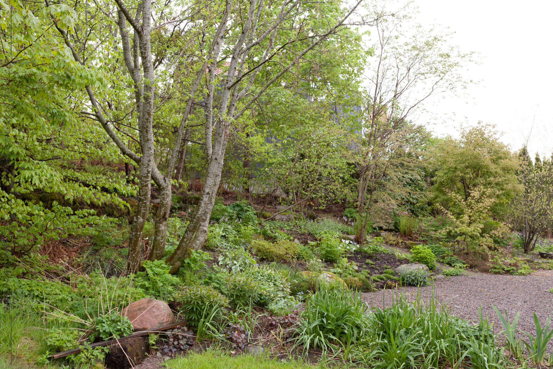 Memory lane - grusgården