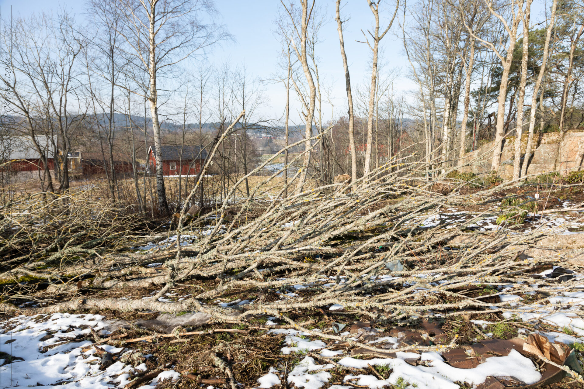 Historieboken - nu är askarna borta