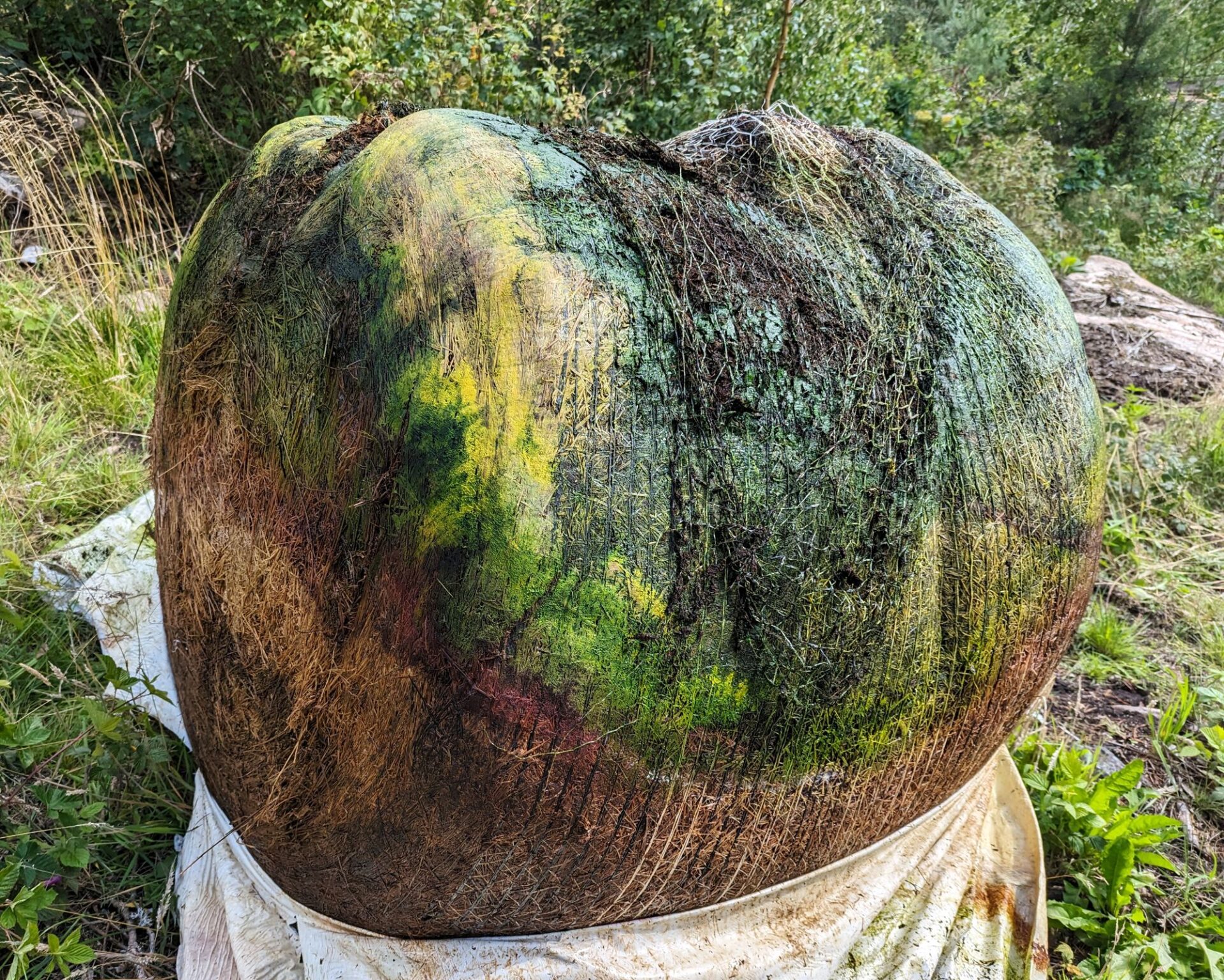 Ensilagemaraton - en bal i regnbågens färger