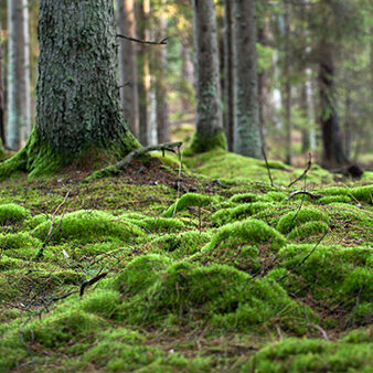 4 Seasons by Carna • 4 Seasons by Carna